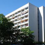 Rent 3 bedroom apartment of 65 m² in Cottbus