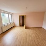 Miete 2 Schlafzimmer wohnung von 49 m² in Reichenbach im Vogtland