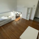 Appartement de 27 m² avec 1 chambre(s) en location à Seyssinet-Pariset
