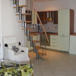 Rent 2 bedroom apartment of 50 m² in Florence