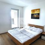 Rent 3 bedroom apartment in Číhošť