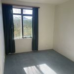 Rent 3 bedroom apartment in Waihi Beach