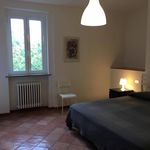 Rent 2 bedroom apartment of 60 m² in Perugia