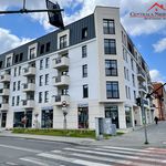Rent 3 bedroom apartment of 60 m² in Toruń