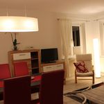 Rent 1 bedroom apartment of 463 m² in Dresden