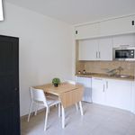 Rent 1 bedroom apartment in Ferney-Voltaire