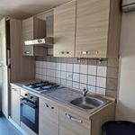 Rent 1 bedroom apartment of 35 m² in Fabrica di Roma