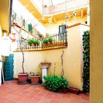 Rent 2 bedroom apartment of 100 m² in Palermo