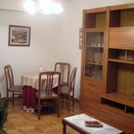 Alquilar 4 dormitorio apartamento en Oviedo