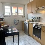 Rent 2 bedroom apartment of 58 m² in Ticino