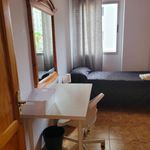 Alquilar 5 dormitorio apartamento en Las Palmas