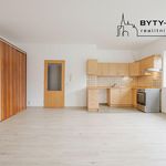 Rent 1 bedroom apartment of 42 m² in Plzeň