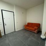 Rent 4 bedroom apartment of 110 m² in Milan