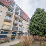 Rent 1 bedroom apartment of 54 m² in Wrocław