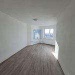 Rent 2 bedroom apartment of 78 m² in Pilsen