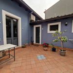 Rent 2 bedroom apartment of 45 m² in Misterbianco