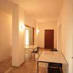 Rent 9 bedroom apartment in Milano