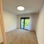 Rent 4 bedroom apartment of 143 m² in Staré Město