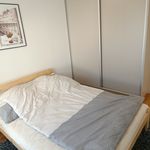 Rent 2 bedroom apartment of 30 m² in Szczecin