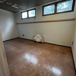 Rent 5 bedroom apartment of 302 m² in Selvazzano Dentro
