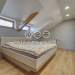 Pronajměte si 1 ložnic/e dům o rozloze 268 m² v Plzeň