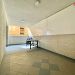 Rent 3 bedroom apartment of 109 m² in Teplice