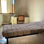 Affitto 1 camera appartamento di 100 m² in Sienna