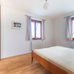 Rent 1 bedroom apartment of 58 m² in Velké Přílepy