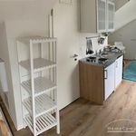 Rent 1 bedroom apartment of 22 m² in Schwerin