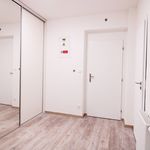 Rent 3 bedroom apartment of 88 m² in Branov