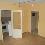 Rent 1 bedroom apartment of 29 m² in Góra