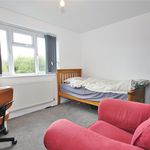Rent 3 bedroom house in Surrey Heath