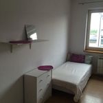 Rent 2 bedroom apartment of 60 m² in Kraków