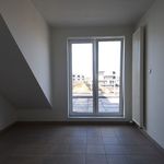  appartement avec 2 chambre(s) en location à Oud-Turnhout