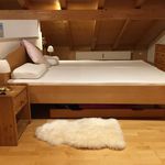 Rent 2 bedroom apartment of 73 m² in Garmisch-Partenkirchen