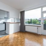 Rent 6 bedroom house of 200 m² in Wassenaar