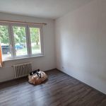 Rent 2 bedroom apartment of 44 m² in Praha