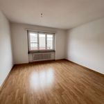 Rent 1 bedroom apartment in Olten