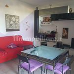 Rent 2 bedroom apartment of 50 m² in Piacenza