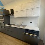 Rent 2 bedroom apartment of 60 m² in San Sebastiano da Po