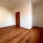 Rent 2 bedroom apartment of 56 m² in Brno