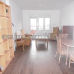 Rent 3 bedroom apartment of 100 m² in Albacete