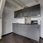 Rent 2 bedroom apartment of 103 m² in Prague