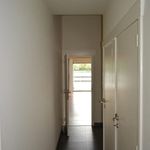 Rent 3 bedroom apartment in Berlare