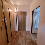 Rent 1 bedroom apartment of 39 m² in Pilsen