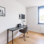 Rent 1 bedroom apartment of 25 m² in Köln