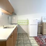 Rent 1 bedroom apartment in Praha 4