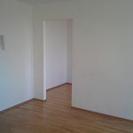 Rent 1 bedroom apartment of 45 m² in Nienburg
