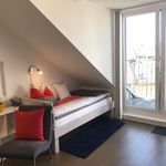 Miete 1 Schlafzimmer wohnung von 25 m² in Munich