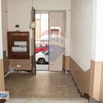 Rent 5 bedroom apartment of 155 m² in Catania